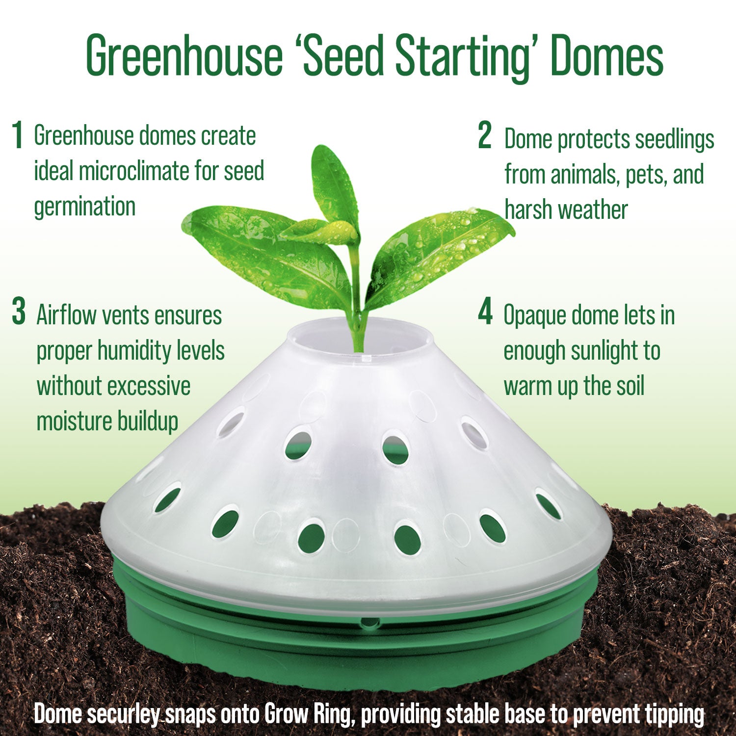 Herbs Garden Kit